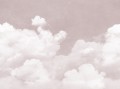 Fototapeta chmury Rebel Walls R14014 Cuddle Clouds Pink Rebel Favorites
