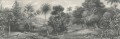 Fototapeta egzotyczna dżungla Rebel Walls R14611 Jungle Land Vintage Rebel Favorites