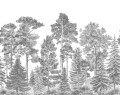 Fototapeta skandynawski las Rebel Walls R17201 Scandinavian Bellewood Gray Rebel Favorites