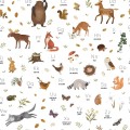 Tapeta leśny alfabet Lilipinso H0731 Forest ABC