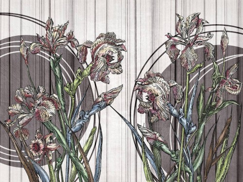 Fototapeta kwiaty irysy Wallcraft Clarri 670322202