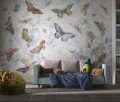 Fototapeta motyle Wallcraft Elibri 700312202