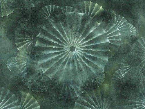 Fototapeta abstrakcyjna Wallcraft Orlanda 695332202