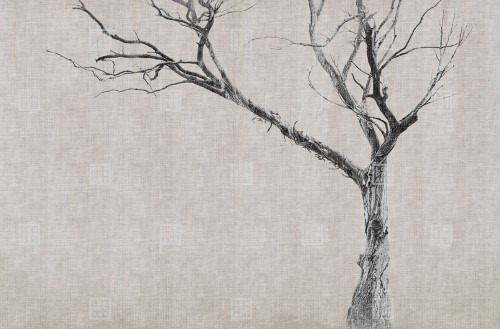 Fototapeta drzewo London Art 13BR-05 Brambles Exclusive Wallpaper 2022 Iconic Re-Edition