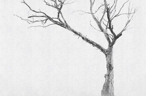 Fototapeta drzewo London Art 13BR-06 Brambles Exclusive Wallpaper 2022 Iconic Re-Edition