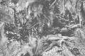 Fototapeta dżungla London Art 14130-05 Gravitoni Exclusive Wallpaper 2022 Iconic Re-Edition