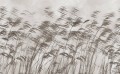 Fototapeta trawy trzciny London Art 15134-05 Gone With The Wind Exclusive Wallpaper 2022 Iconic Re-Edition
