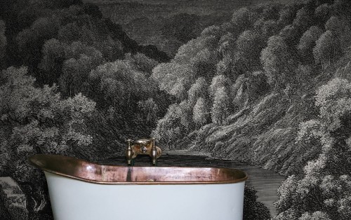 Fototapeta krajobraz lasu i jeziora Rebel Walls R19216 Mystery Lake Vintage Vintage Brocade