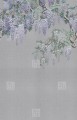 Fototapeta kwiaty wisterii London Art Iromuji KTN07 D Tale Books: Kimono