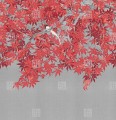 Fototapeta czerwony klon japoński London Art Tsukesage knm20 D Tale Books: Kimono
