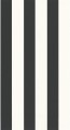 Tapeta pasy winylowa Caselio BAI 104029290 Wide Lines Basics