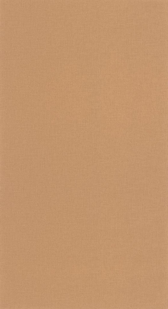 85973361231b9418572caebdfe885386