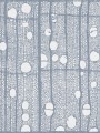 Tapeta Łazienkowa Londonart 20516 02 Fibra GlassWallpaper 2020