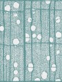 Tapeta Łazienkowa Londonart 20516 04 Fibra GlassWallpaper 2020