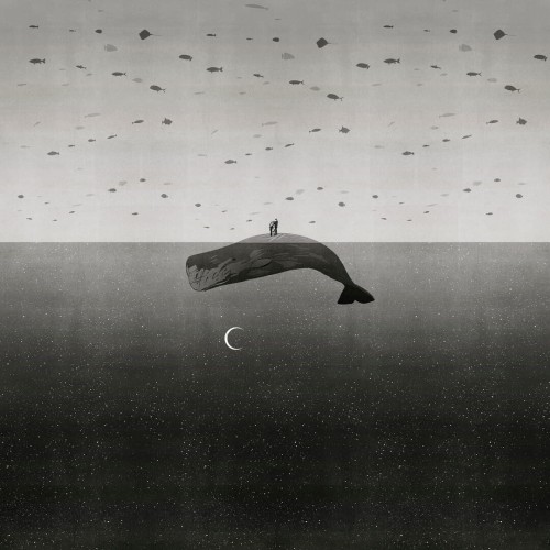 Fototapeta wieloryb Wall&Deco WDEO2302 Eos Contemporary 2023