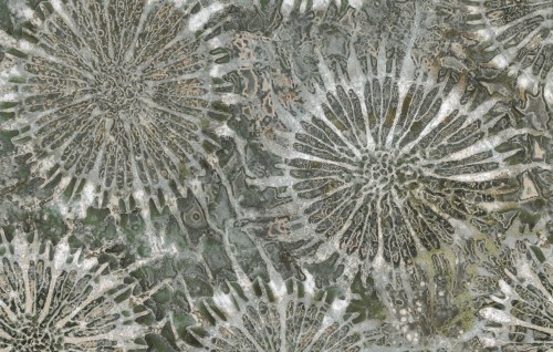 Fototapeta minerały Wall&Deco WDPA2302 Paleocorals Contemporary 2023