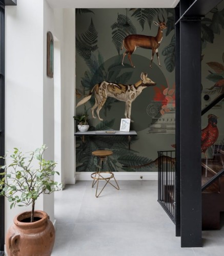 Mural zwierzęta Khaki 8053 Wallcolors