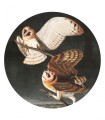 Mural okrągły sowy Dots Owls 8688 Wallcolors