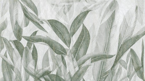 Fototapeta duże liście TapLab 511_003 PACHO Collection 23