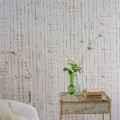 Tapeta rozmazane paski Designers Guild PDG1159/01 Shiwa Ikebana