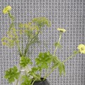 Tapeta geometryczna Designers Guild PDG1150/04 Jaal Porcelaine De Chine