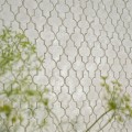 Tapeta jak koniczyna marokańska Designers Guild PDG1151/03 Pergola Trellis Porcelaine De Chine