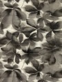 Tapeta liście kasztanowca Harlequin 113005 Grounded Colour 4