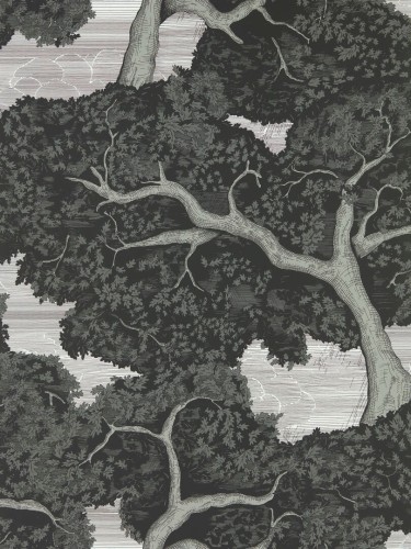 Tapeta drzewa Harlequin 113040 Eternal Oak Colour 4