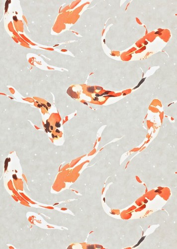 Tapeta ryby koi Harlequin 110903 Koi Colour 4