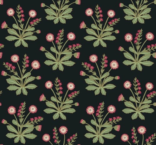 Tapeta kwiaty York Wallcoverings AC9152 Meadow Flowers Art & Crafts