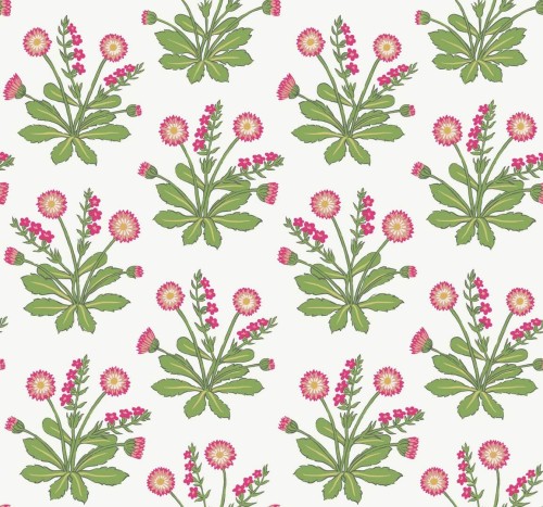 Tapeta kwiaty York Wallcoverings AC9153 Meadow Flowers Art & Crafts