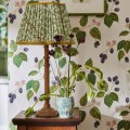 Tapeta roślinne pnącza jeżyny Sanderson 217227 Rubus Arboretum
