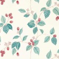 Tapeta roślinne pnącza jeżyny Sanderson 217228 Rubus Arboretum