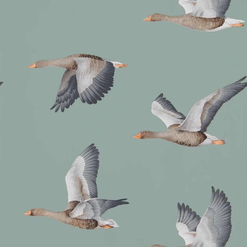 Tapeta gęsi w locie Sanderson 216610 Elysian Geese Arboretum