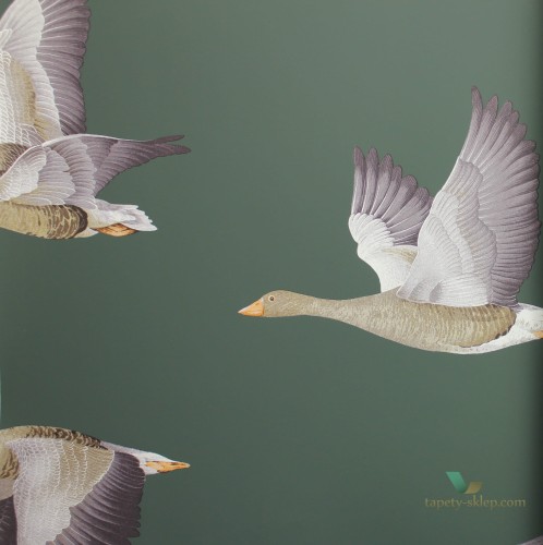 Tapeta gęsi w locie Sanderson 216608 Elysian Geese Arboretum