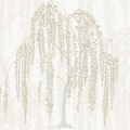 Tapeta drzewa wierzby płaczącej  York Wallcoverings DT5061 Willow Glow After Eight