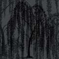 Tapeta drzewa wierzby płaczącej  York Wallcoverings DT5062 Willow Glow After Eight