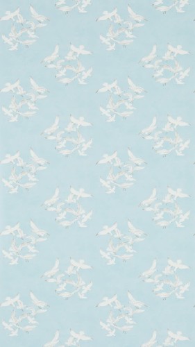 Tapeta mewy Sanderson 214585 Seagulls One Sixty