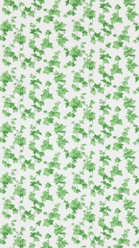 Tapeta liście bluszczu Sanderson 214593 Hedera One Sixty