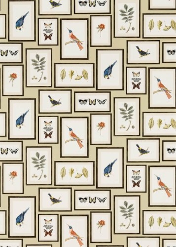 Tapeta botaniczne obrazy Sanderson 213399 Picture Gallery One Sixty