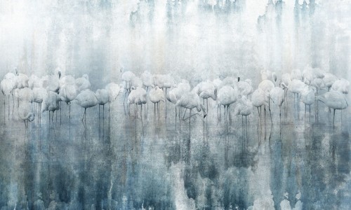 Fototapeta flamingi Wonderwall Armonia 35045403