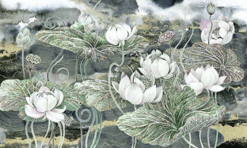 Fototapeta lilie wodne Wonderwall Cassiopeia 35072208