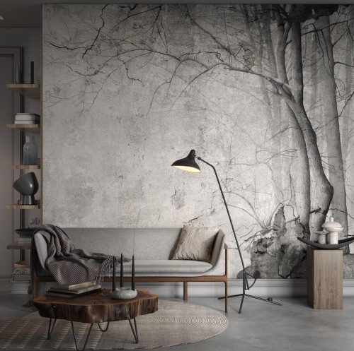 Fototapeta zamglone drzewa Wonderwall Illusion 35043101