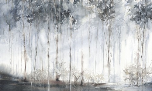 Fototapeta zamglony las Wonderwall Karelia 35045501