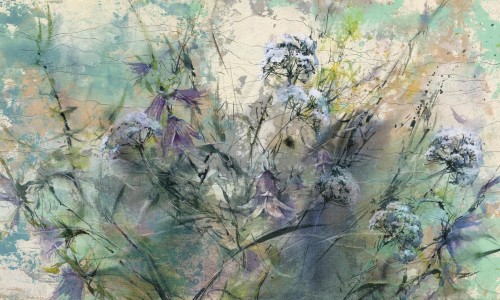 Fototapeta polne kwiaty Wonderwall Lea 35070408