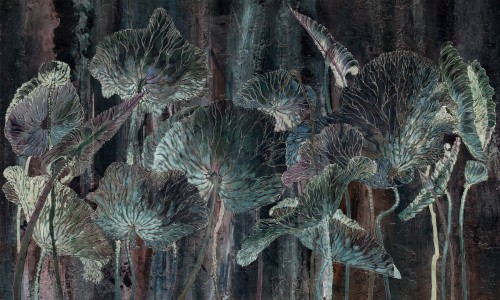 Fototapeta liście lotosu Wonderwall Lotos 35070300