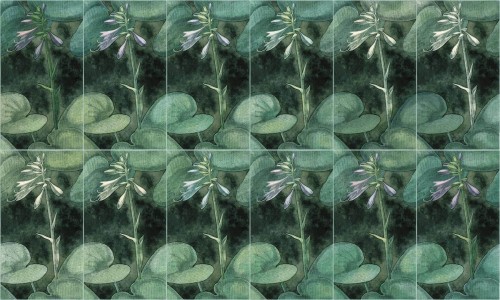 Fototapeta roślinna Wonderwall Dolise 35062108