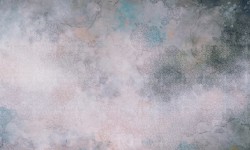 Fototapeta ornament i popękana ściana Wonderwall Ebbi 35073313