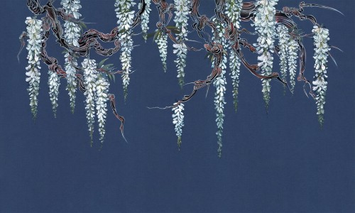 Fototapeta kwiaty Wonderwall Elvie 35073503