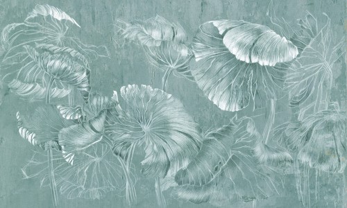 Fototapeta liście lilii wodnej Wonderwall Fera 35055508